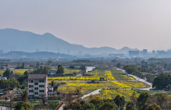 溫州三垟濕地公園航拍