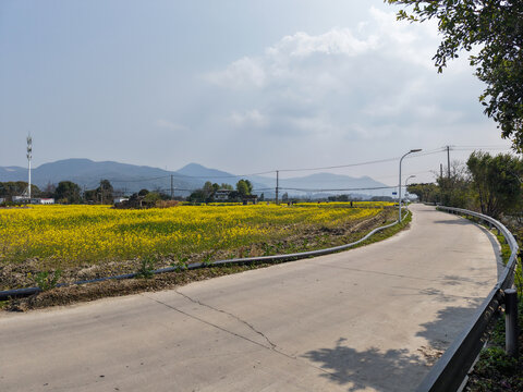鄉(xiāng)村小路