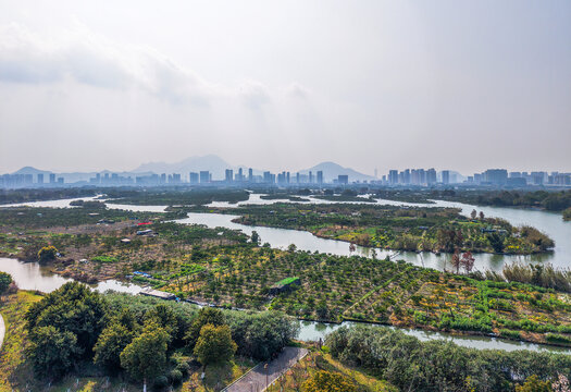 溫州三垟濕地公園航拍