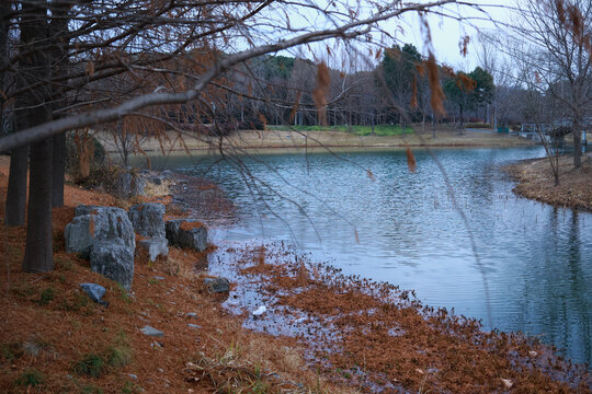 虎丘濕地公園