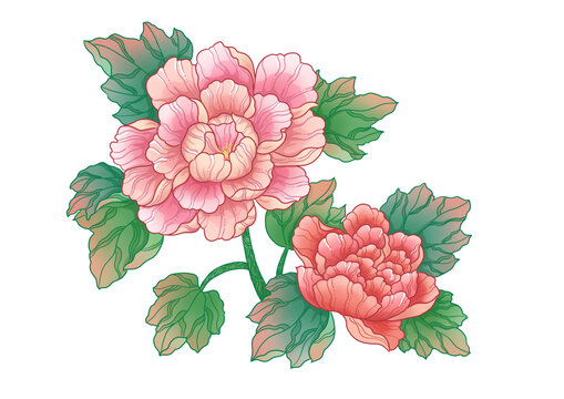 國風(fēng)手繪芙蓉花元素插畫