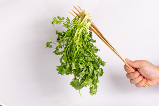 香菜串串