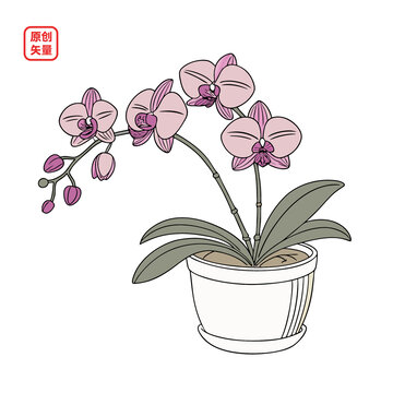矢量插圖植物一盆蘭花