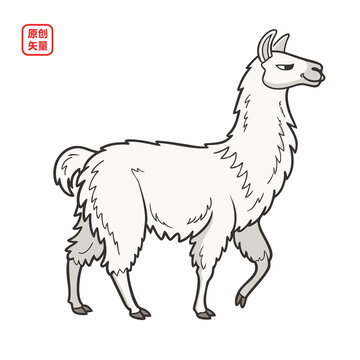 矢量插圖動(dòng)物簡(jiǎn)約線條羊駝