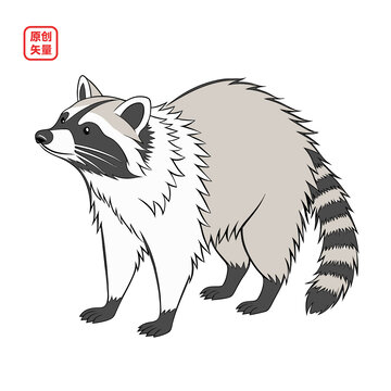 矢量插圖動物簡約小浣熊