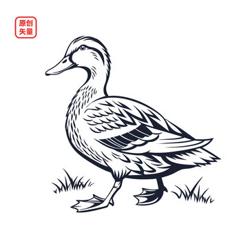 矢量插圖動物簡約小鴨子
