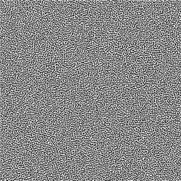 皮紋