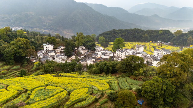 江西婺源江嶺景區(qū)萬(wàn)畝油菜花盛開(kāi)景色