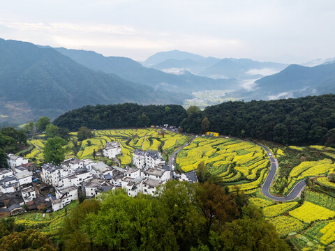 江西婺源江嶺景區(qū)萬(wàn)畝油菜花盛開(kāi)景色
