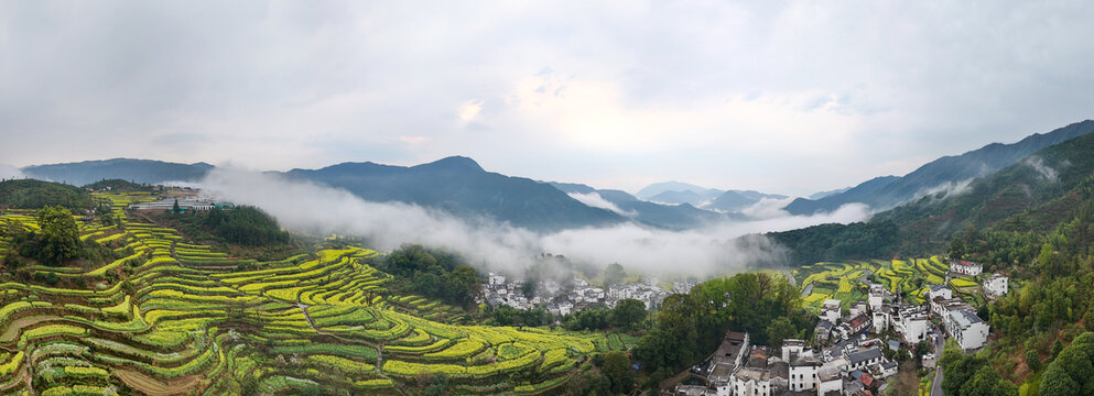 江西婺源江嶺景區(qū)萬(wàn)畝油菜花盛開(kāi)景色
