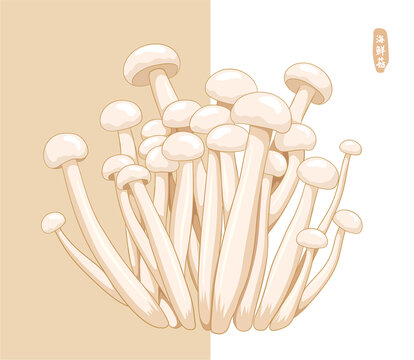 手繪海鮮菇插畫菌類系列插畫