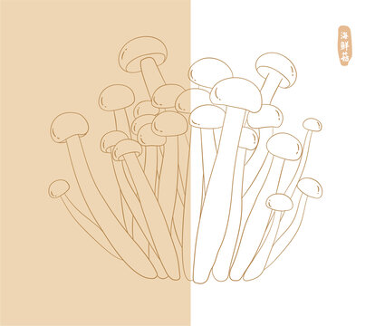 手繪海鮮菇插畫(huà)菌類系列插畫(huà)