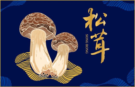 松茸包裝插畫
