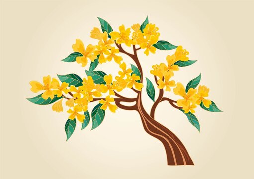 桂花樹(shù)