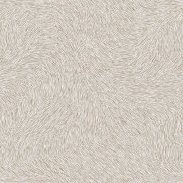 素色毛發(fā)皮毛紋理