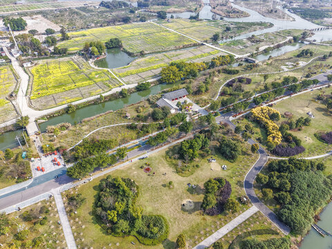 溫州三垟濕地公園航拍