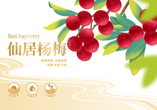 楊梅包裝禮盒彩箱果汁飲品國潮國風(fēng)插畫手繪
