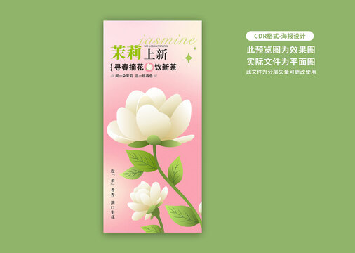 茉莉花海報
