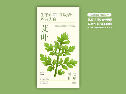 艾草海報