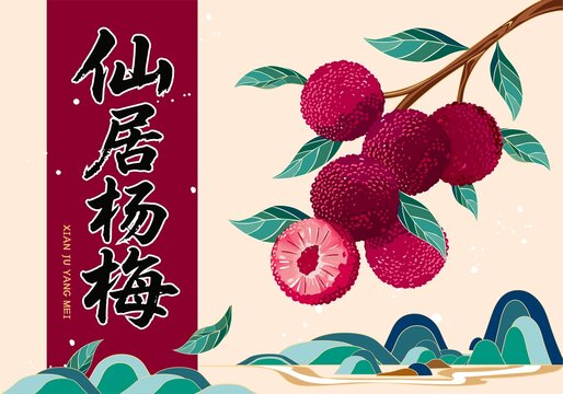 楊梅包裝插畫