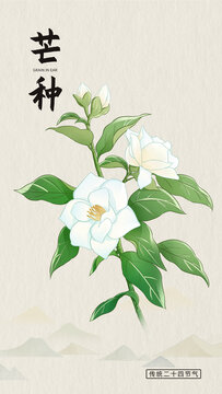 芒種節(jié)氣插畫