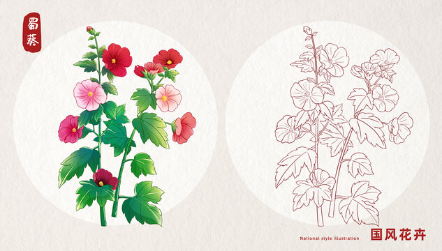 蜀葵插畫
