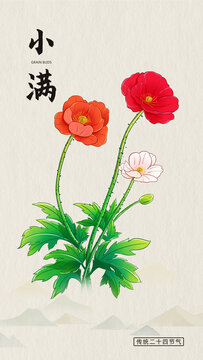 小滿節(jié)氣插畫
