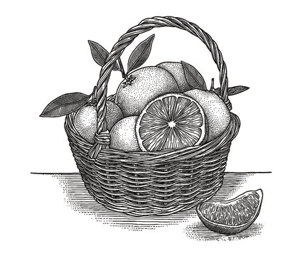 素描水果