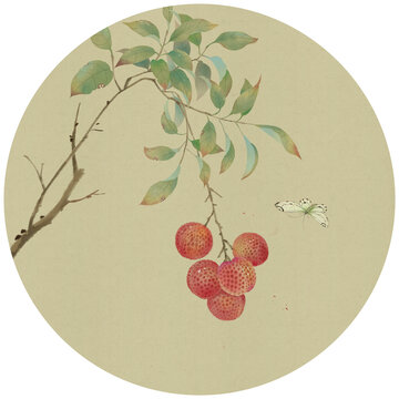 古風(fēng)荔枝插畫(huà)