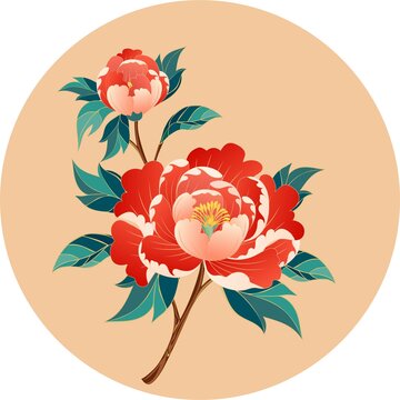 牡丹