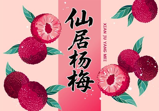 楊梅包裝插畫