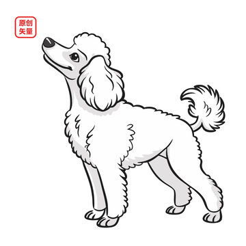 矢量插圖動(dòng)物萌寵貴婦犬