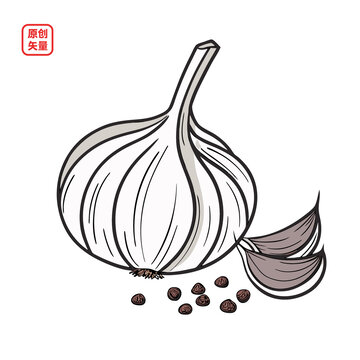 矢量插圖蔬菜調(diào)味品大蒜