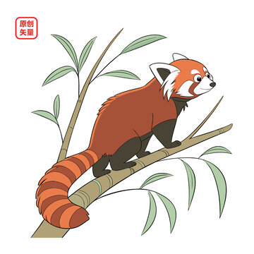矢量插圖動(dòng)物小浣熊