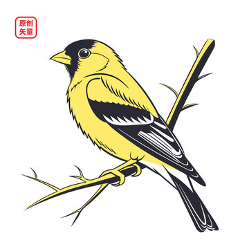 矢量插圖動物枝頭黃鸝