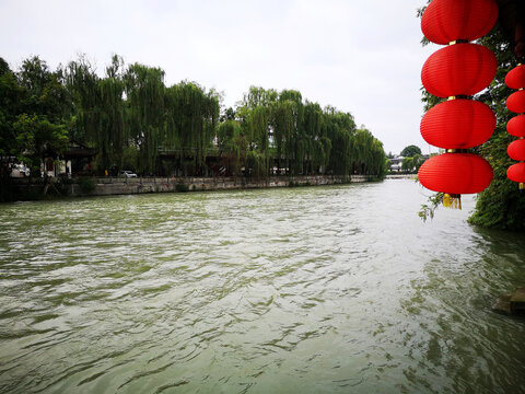 柏條河
