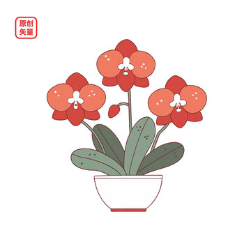 矢量插圖植物簡(jiǎn)約一盆蘭花