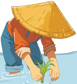 農(nóng)民插秧