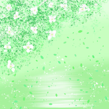 清新小花