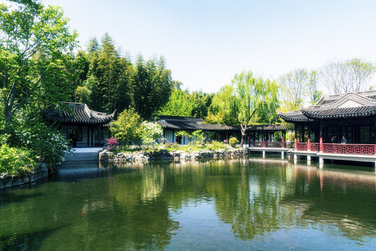 滿(mǎn)園春色