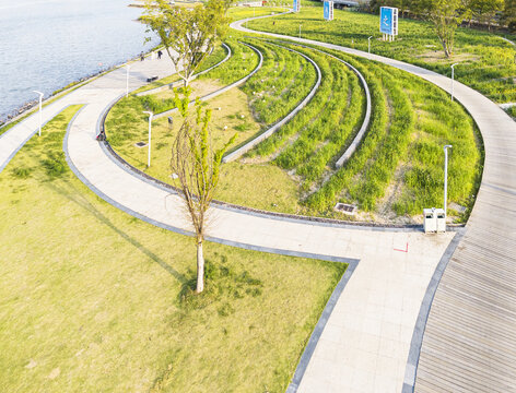 園林草坪