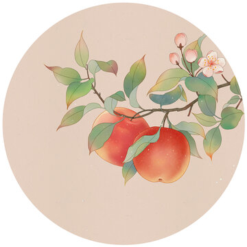 蘋果插畫(huà)