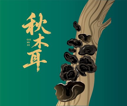 木耳插畫
