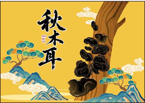 秋木耳包裝插畫