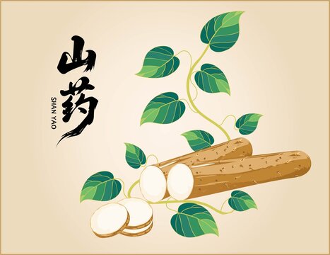 山藥插畫