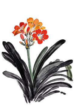 水墨花葉草插畫元素