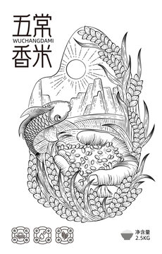 五常香米包裝設(shè)計(jì)