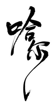 哈爾