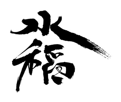 水稻