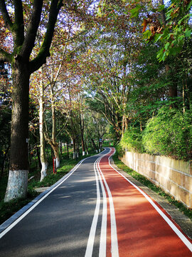 健身跑道